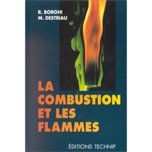 La Combustion Et Les Flammes - Borghi Destriau