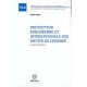 Protection Europeenne Et Internationale Des Droits De L'homme - Rusen Ergec