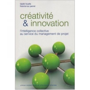 Management Integre De Projet , Support A La Creativite Et L'innovation - Francis-luc Perret , Tayeb Louafa