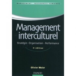 Management Interculturel , Strategie, Organisation, Performance (4e Edition) - Olivier Meier