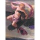 Les Metamorphoses D'ovide , Illustrees Par La Peinture Baroque - Ovide , Lafaye , Rosenberg