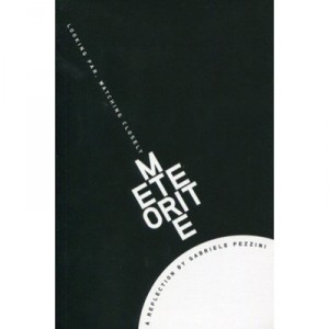 Meteorite. Looking Far, Watching Closely. A Reflection By Gabriele Pezzini - Gabriel Pezzini