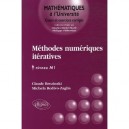 Methodes Numeriques Iteratives , Algebre Lineaire Et Non Lineaire Niveau M1 - Claude Brezinski