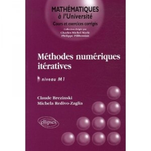 Methodes Numeriques Iteratives , Algebre Lineaire Et Non Lineaire Niveau M1 - Claude Brezinski