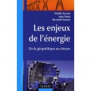 Les Enjeux De L'energie , De La Geopolitique Au Citoyen - Estelle Iacona , Jean Taine , Bernard Tamain