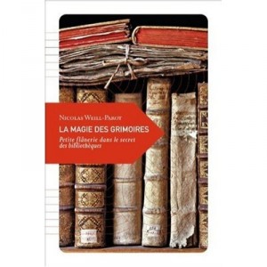 La Magie Des Grimoires , Petite Flanerie Dans Le Secret Des Bibliotheques - Nicolas Weill-parot