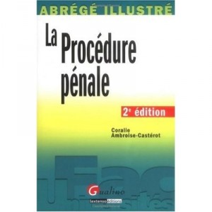 La Procedure Penale (2e Edition) - Coralie Ambroise-casterot