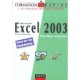 Microsoft Excel 2003 , Fonctions Avancees - Renaud Alaguillaume