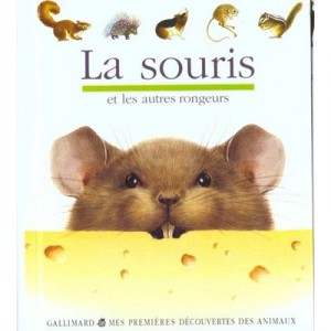 La Souris - Collectif
