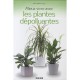 Mieux Vivre Avec Les Plantes Depolluantes - Marie-helene Laugier