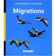 Migrations - Feigne , Petit