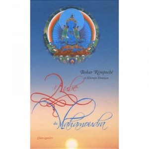 L'aube Du Mahamoudra - Bokar Rimpoche