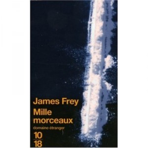 Mille Morceaux - James Frey
