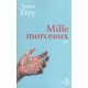 Mille Morceaux - James Frey