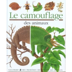 Le Camouflage - Collectif