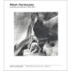 Minot-gormezano , Le Chaos Et La Lumiere, 1983-2001 - Collectif
