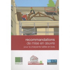 Recommendations for Implementation for the frame carved in wood - Collective Irabo