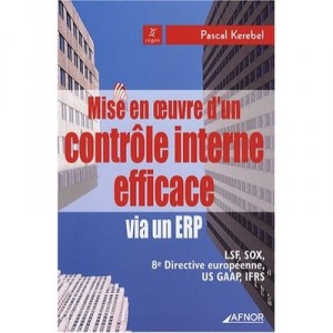 Mise En Oeuvre D'un Controle Interne Efficace Via Un Erp - Pascal Kerebel