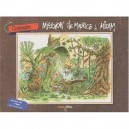 Mission Ile Maurice - Midam