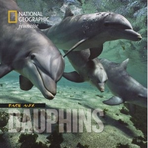 Dolphins - Flip, Linda Nicklin