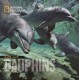 Les Dauphins - Flip , Linda Nicklin