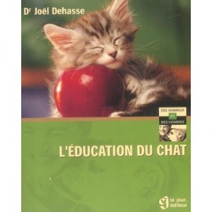 The education of Chat - Joel Dehasse