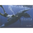 Moana , Le Royaume De Corail - Yann Hubert