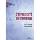L'efficacite Du Contrat - Gwendoline Lardeux
