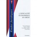 L'efficacite Economique En Droit - Sylvain Bollee , Yves-marie Laithier , Cecile Peres