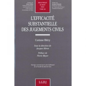 The substantial efficiency of civil judgments T.328 - Corinne Bléry