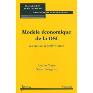 Modele Economique De La Dsi Les Cles De La Performance Coll Management Et Informatique - Brogniart