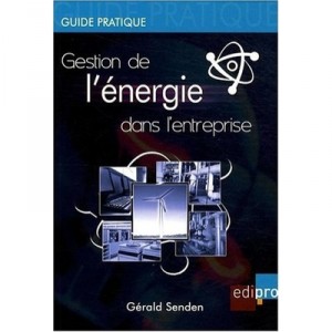 Energy management in Company - Gerald Senden