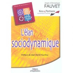 L'elan Sociodynamique , L'approche Humaine Des Organisation - Jean-christian Fauvet