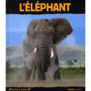 The elephant - Christine Denis-Huot, Michel Denis-Huot