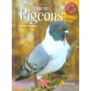 L'elevage De Pigeons - Alain Fournier