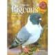 L'elevage De Pigeons - Alain Fournier