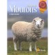 L'elevage Des Moutons - Alain Fournier