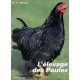 L'elevage Des Poules - Robin R-a