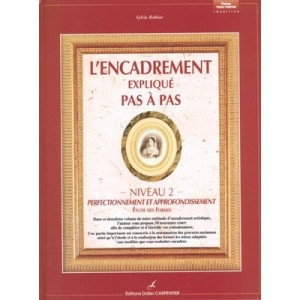 L'encadrement Pas A Pas T.2 , Perfectionnement - Sylvie Robine