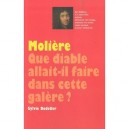 Moliere, Que Diable Allait-il Faire Dans Cette Galere? - Sylvie Dodeller