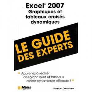 Excel 2007 Graphiques Et Tableaux Dynamiques (les Experts D'office) - Pierre Polard