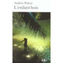 L'enfant-bois - Audrey Pulvar