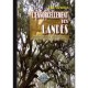 L'ensorcellement Dans Les Landes - Lafargue Eric