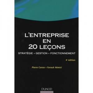 L'entreprise En 20 Lecons , Strategie, Gestion, Fonctionnement (4e Edition - Pierre Conso , Farouk Hemici