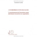 L'entreprise En Psychanalyse , Un Questionnement De L'inconscient Comme Determinant Structurel De Nos Organisations - Emmanuel 