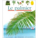 Le Palmier - Collectif