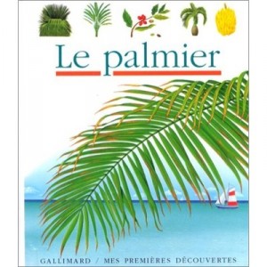 Le Palmier - Collectif