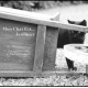 Mon Chat Est... Jardinier - Flavien Larderet
