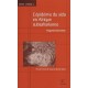 L'epidemie Du Sida En Afrique Subsaharienne - Regards Historiens - Denis - Becker