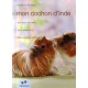 Mon Cochon D'inde - Immanuel Birmelin